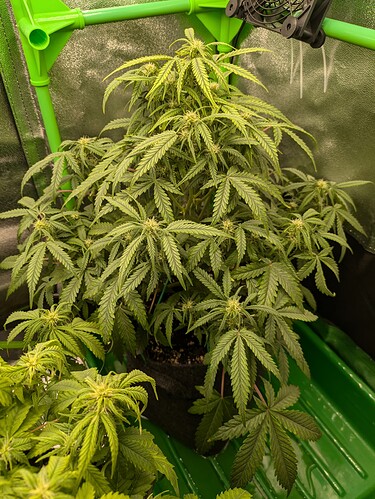 Growreport Bild 15