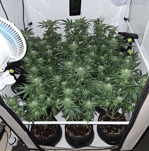 475647304_122165590874293599_5273875261638300223_n