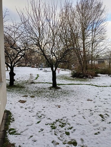 Growreport Bild 13