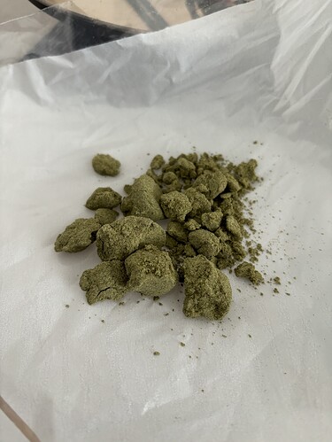 Growreport Bild 35