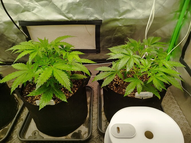 Growreport Bild 4