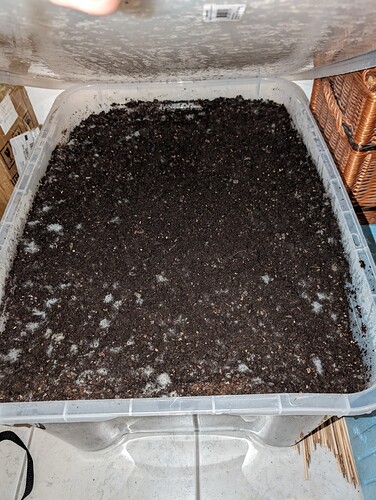 Growreport Bild 3