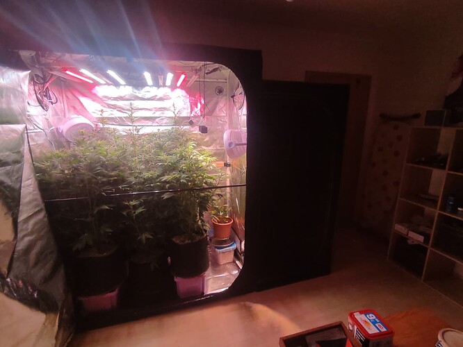 Growreport Bild 16