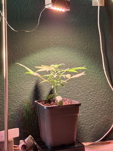 Growreport Bild 19