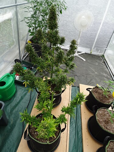 Growreport Bild 16