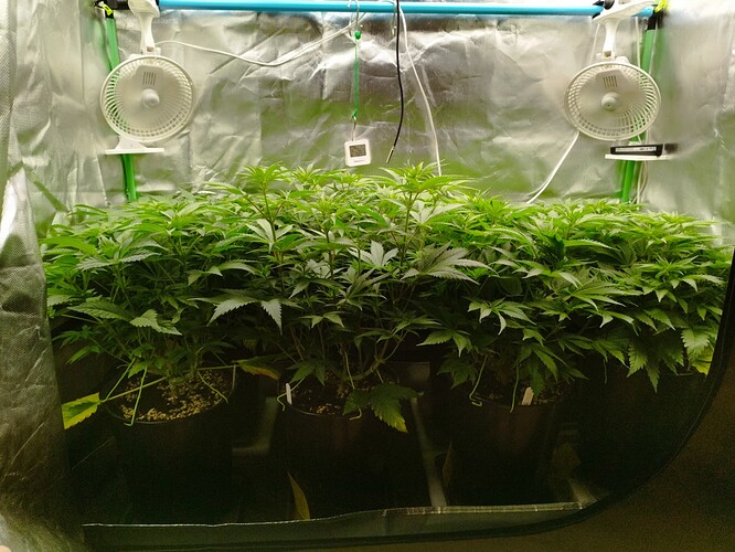 Growreport Bild 7