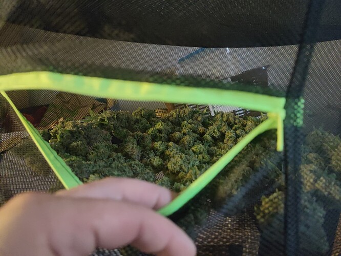 Growreport Bild 118