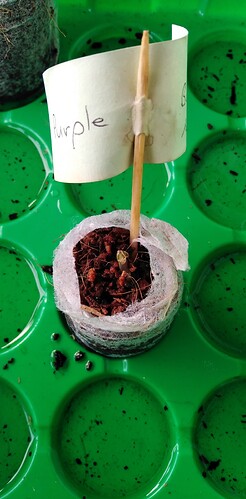 17427337032878270954665087099055