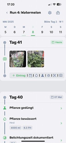 Growreport Bild 8