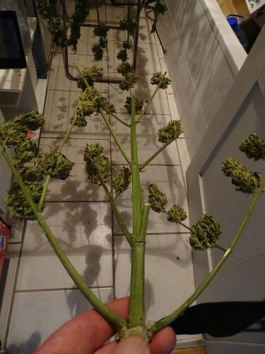 Growreport Bild 10