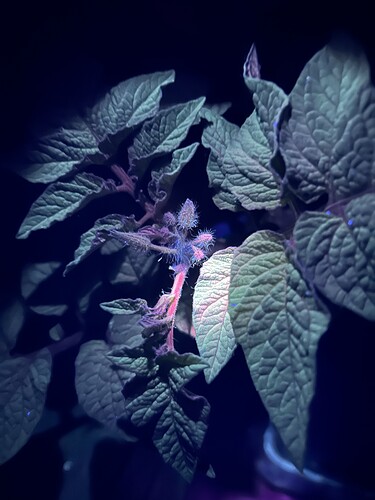 Growreport Bild 10