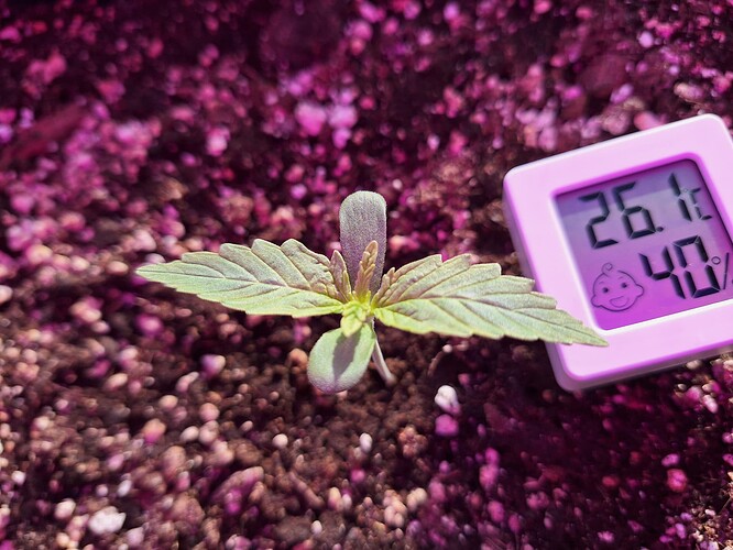 Growreport Bild 3