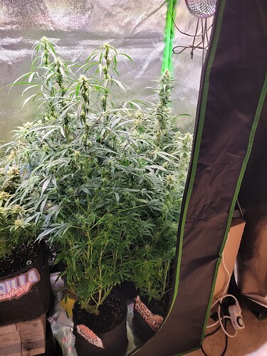 Growreport Bild 5