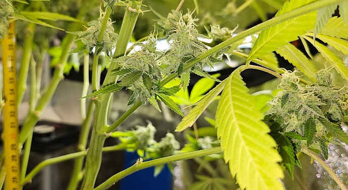 Growreport Bild 13