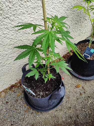 Growreport Bild 22