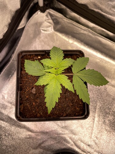 Growreport Bild 14