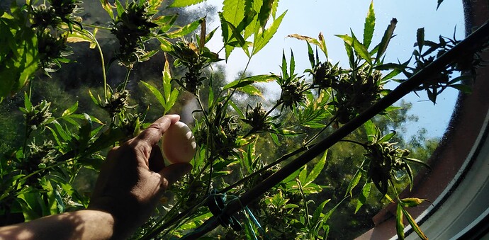 Growreport Bild 4