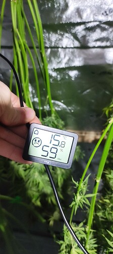 Growreport Bild 8