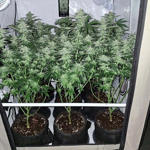 475831860_122166708578293599_8280182237598306511_n