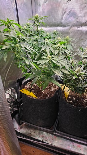 Growreport Bild 15