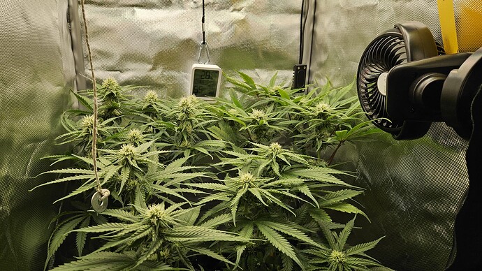 Growreport Bild 5