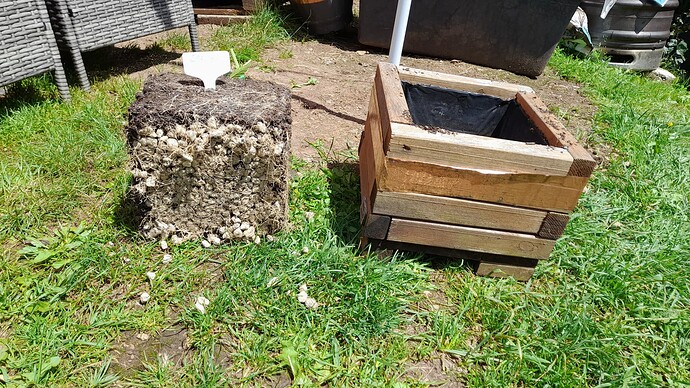 Growreport Bild 5