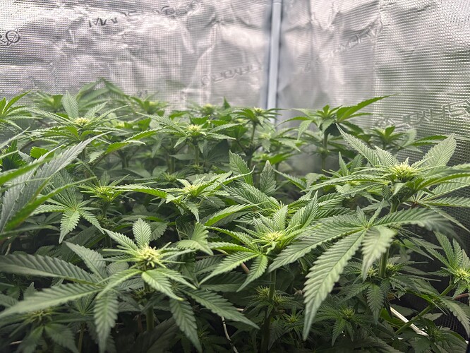 Foto 03.01.26, 06 40 05