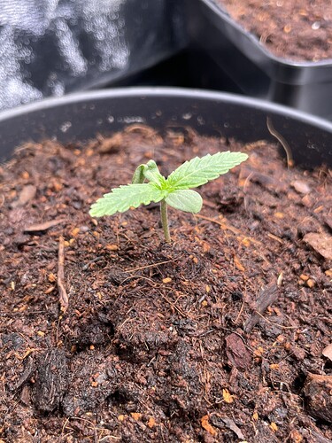 Growreport Bild 18