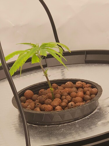 Growreport Bild 31