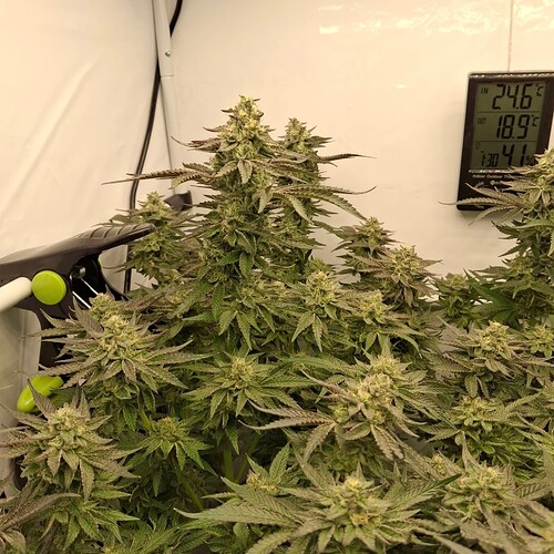 479663500_122168107094293599_377685465226834815_n