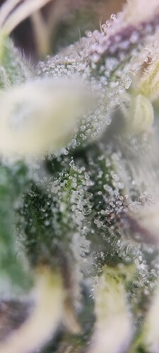 Growreport Bild 21
