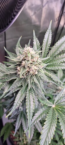 Growreport Bild 34