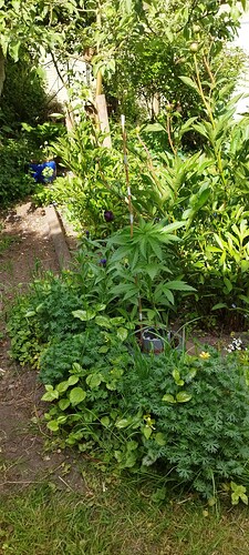 IMG_20250515_093848