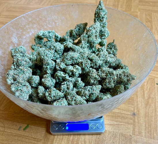 Growreport Bild 10