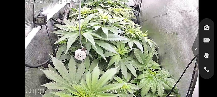 Growreport Bild 6