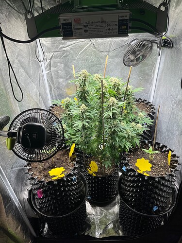 Growreport Bild 3
