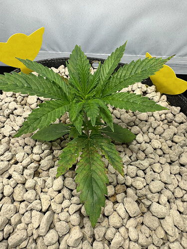 20240424_150059973_iOS