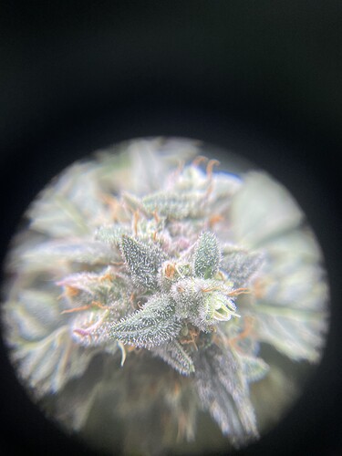 Growreport Bild 11