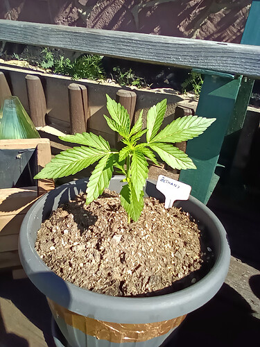 IMG_20240515_095709_0