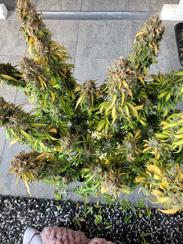 Growreport Bild 7