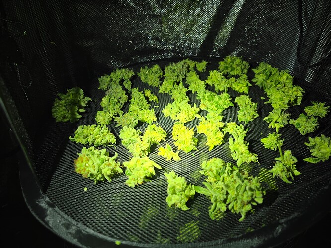 Growreport Bild 13