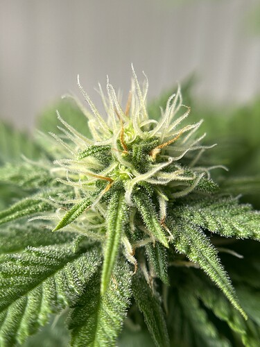 Growreport Bild 6