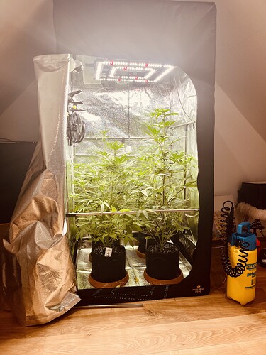 Growreport Bild 6