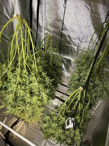 Growreport Bild 4