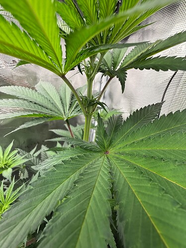 Growreport Bild 9