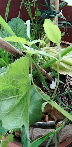 Growreport Bild 15