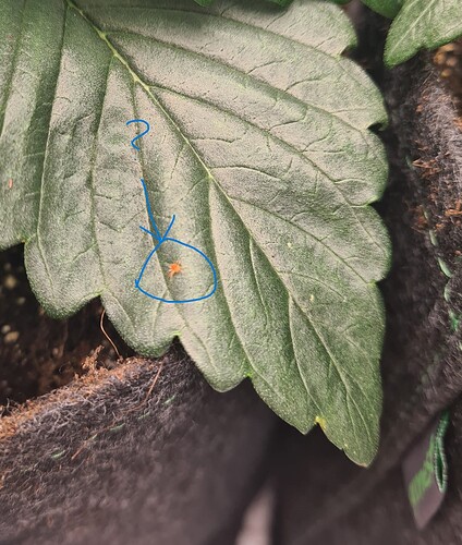 Growreport Bild 19