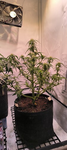 Growreport Bild 24