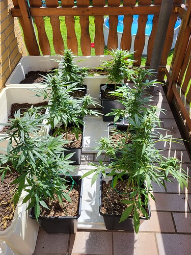 Growreport Bild 8
