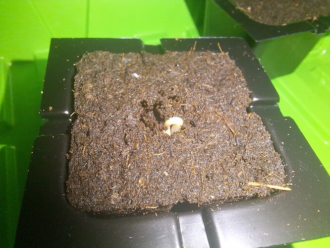 Growreport Bild 19